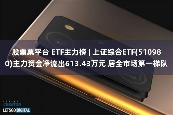 股票票平台 ETF主力榜 | 上证综合ETF(510980)主力资金净流出613.43万元 居全市场第一梯队