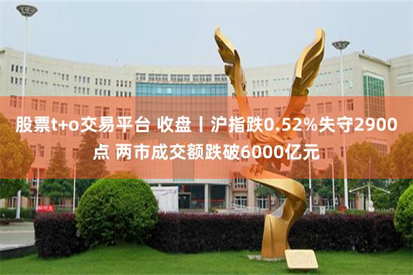 股票t+o交易平台 收盘丨沪指跌0.52%失守2900点 两市成交额跌破6000亿元