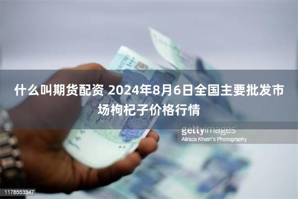 什么叫期货配资 2024年8月6日全国主要批发市场枸杞子价格行情