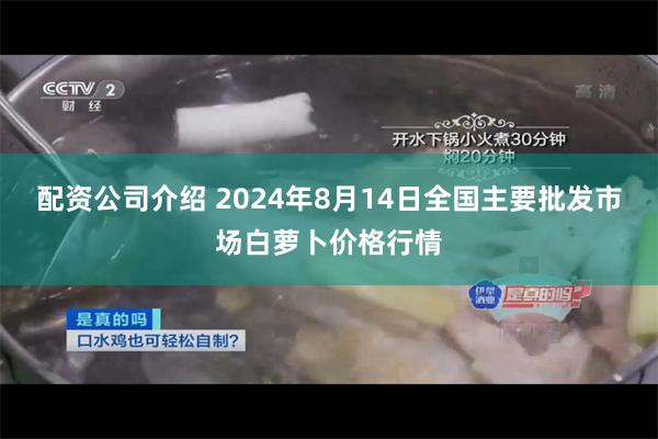 配资公司介绍 2024年8月14日全国主要批发市场白萝卜价格行情