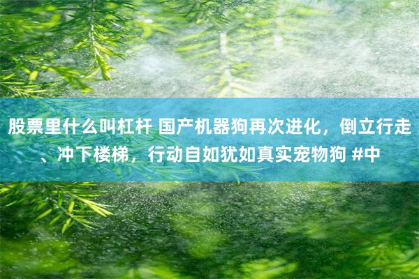 股票里什么叫杠杆 国产机器狗再次进化，倒立行走、冲下楼梯，行动自如犹如真实宠物狗 #中