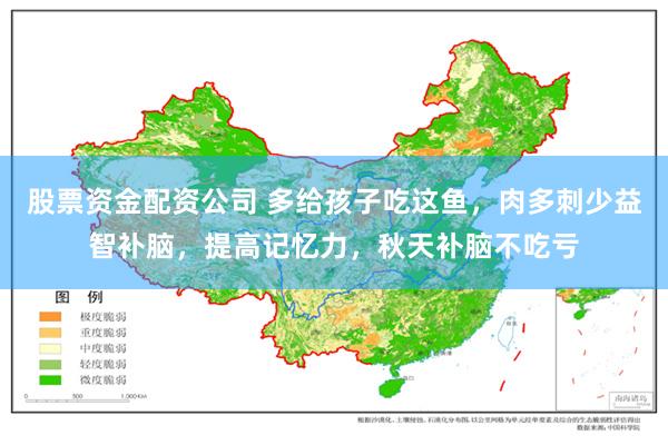 股票资金配资公司 多给孩子吃这鱼，肉多刺少益智补脑，提高记忆力，秋天补脑不吃亏