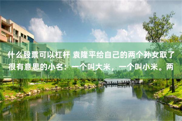 什么股票可以杠杆 袁隆平给自己的两个孙女取了很有意思的小名：一个叫大米，一个叫小米。两