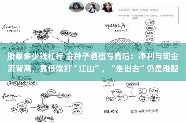 股票多少钱杠杆 金种子酒扭亏背后：净利与现金流背离，靠低端打“江山”，“走出去”仍是难题