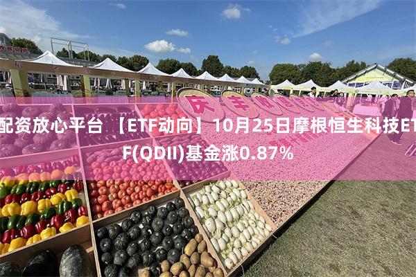 配资放心平台 【ETF动向】10月25日摩根恒生科技ETF(QDII)基金涨0.87%