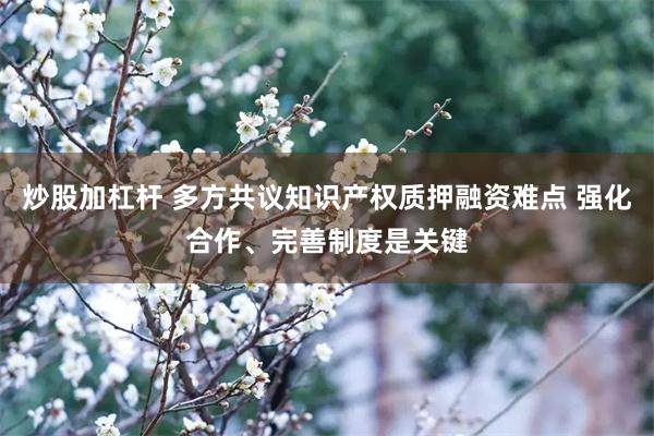 炒股加杠杆 多方共议知识产权质押融资难点 强化合作、完善制度是关键