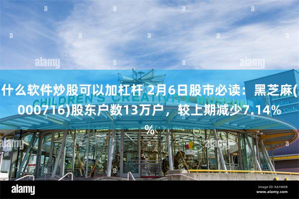 什么软件炒股可以加杠杆 2月6日股市必读：黑芝麻(000716)股东户数13万户，较上期减少7.14%