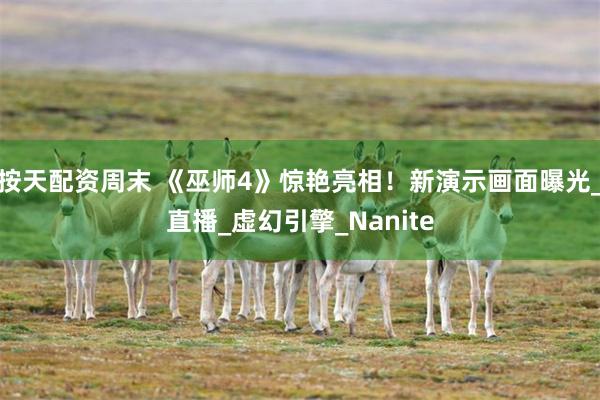 按天配资周末 《巫师4》惊艳亮相！新演示画面曝光_直播_虚幻引擎_Nanite